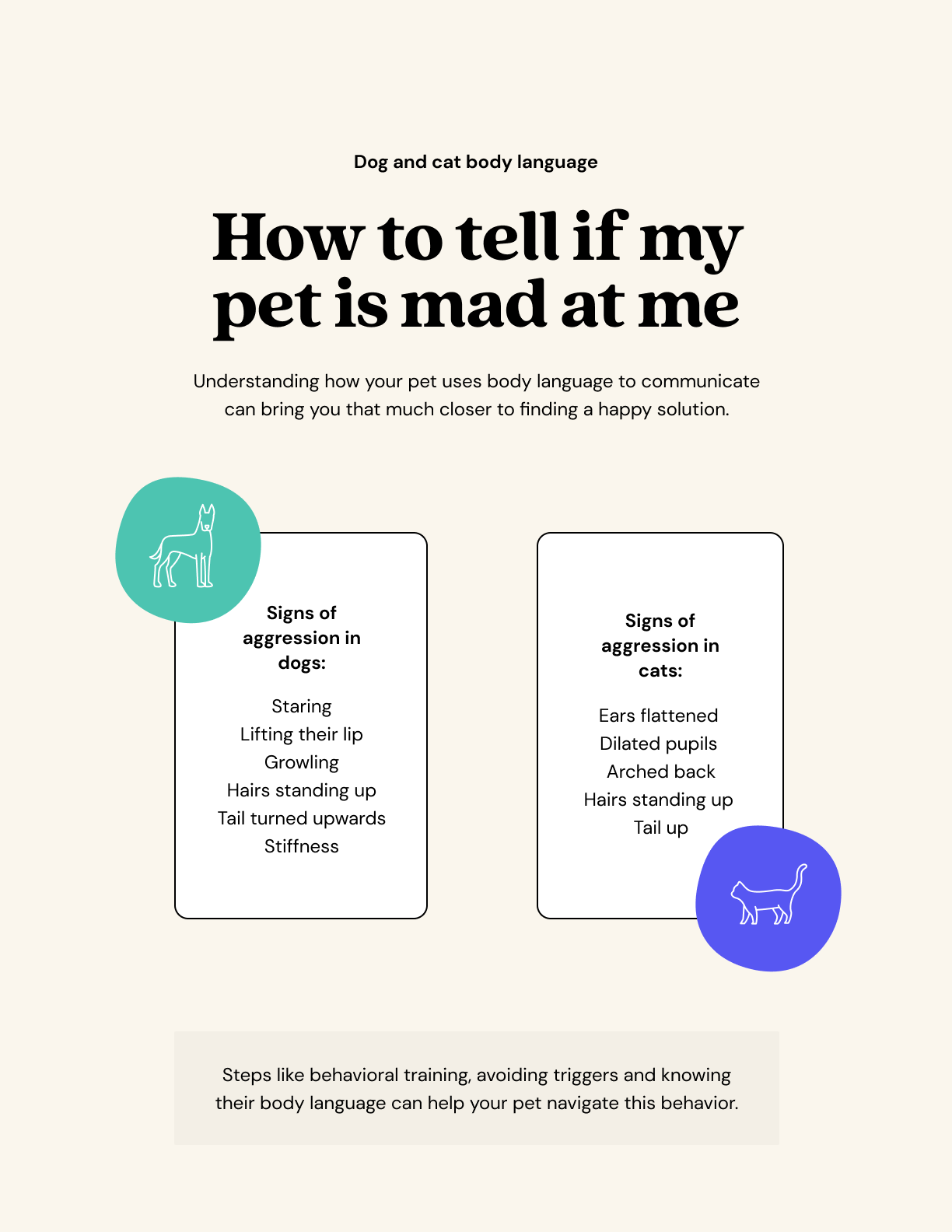 Why Is My Cat Suddenly Attacking My Dog